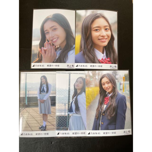乃木坂46 井上和 個別生写真 模型 | alirsyadsatya.sch.id