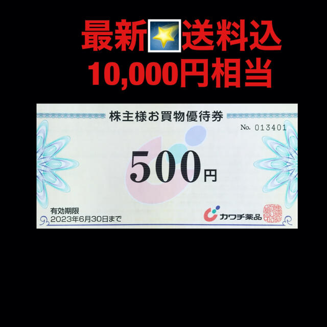 最新⭐️カワチ薬品 10,000円分 株主優待券 匿名配送 | svetinikole.gov.mk