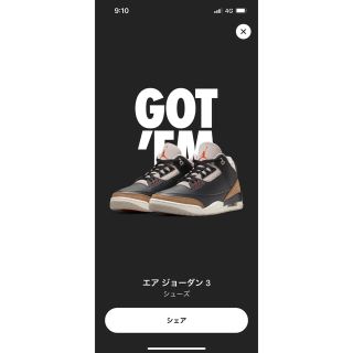 ナイキ(NIKE)のNike Air Jordan 3 "Desert Elephant"(スニーカー)