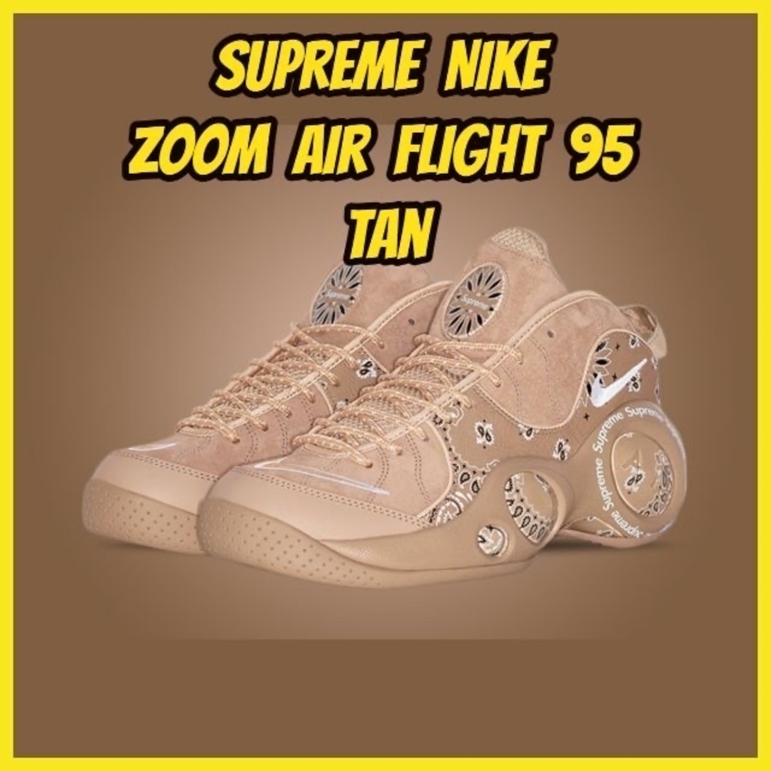 Supreme付属品Supreme Nike Zoom Air Flight 95 シュプリーム ③