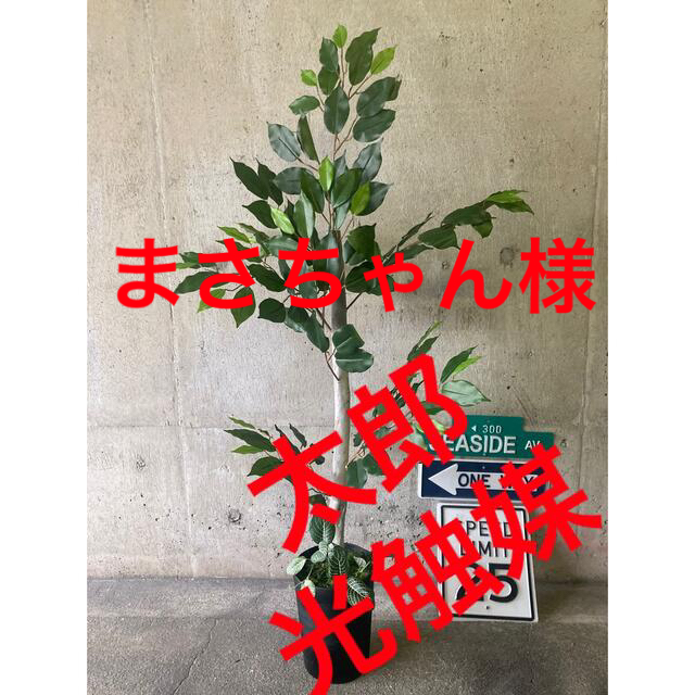 光触媒　人工観葉植物　ウォールグリーン　フェイク　フラワー　ベンジャミン118