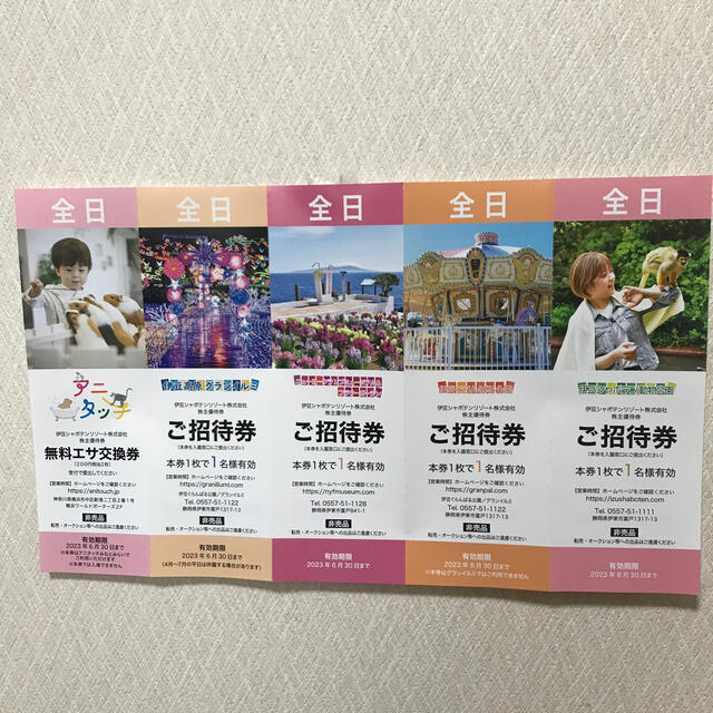 伊豆シャボテンリゾート優待券 チケットの施設利用券(遊園地/テーマパーク)の商品写真