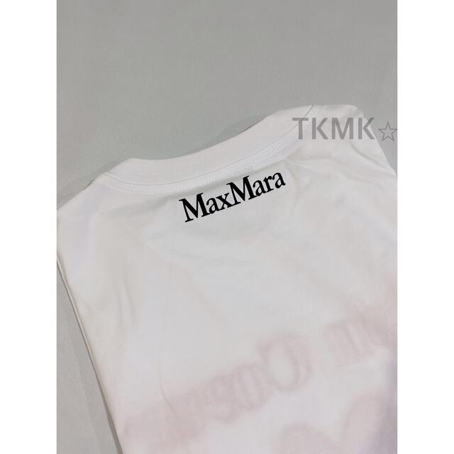 Max Mara(マックスマーラ)の在庫処分 新品未使用品 MAXMARA マックスマーラ コットン Tシャツ 白T レディースのトップス(Tシャツ(半袖/袖なし))の商品写真