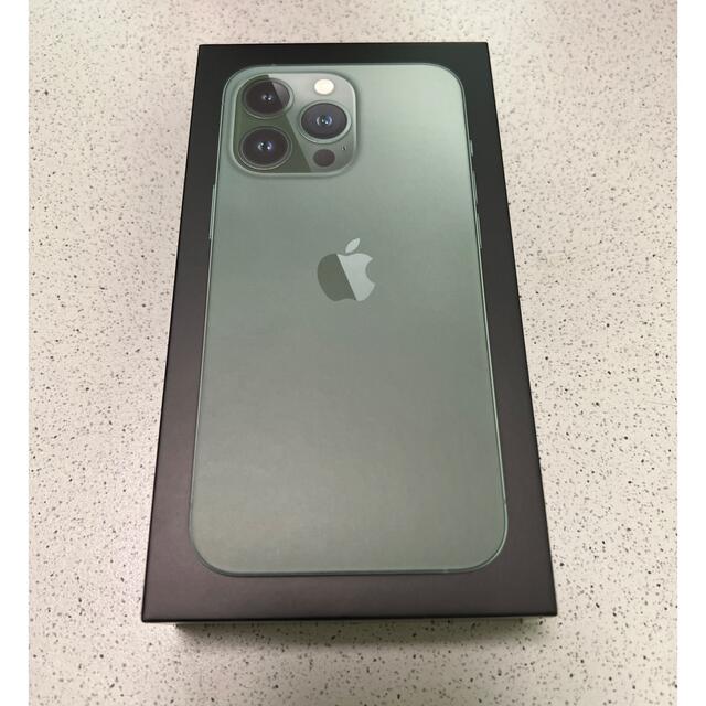 iPhone13Pro 256GB