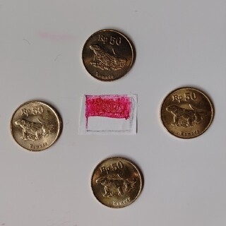 旧インドネシアコイン 50ルピア 1996(貨幣)