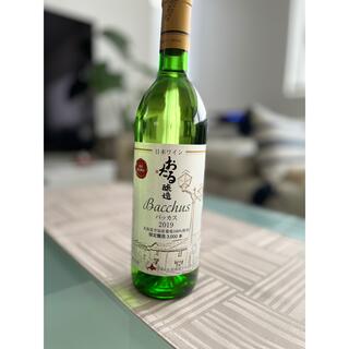 北海道ワイン　バッカス2019 白やや辛　限定3,000本(ワイン)