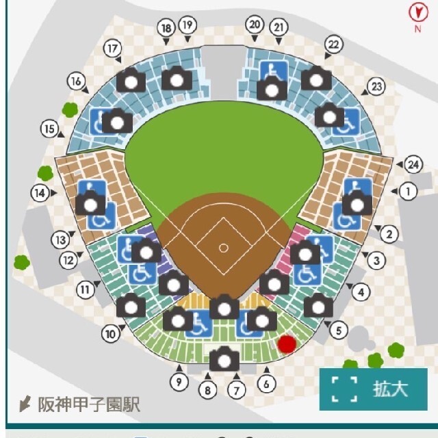 6月24日　阪神vs中日 18:00~ ｸﾞﾘｰﾝｼｰﾄ連番2枚 チケットのスポーツ(野球)の商品写真