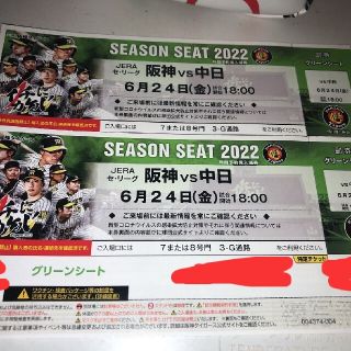 6月24日　阪神vs中日 18:00~ ｸﾞﾘｰﾝｼｰﾄ連番2枚(野球)