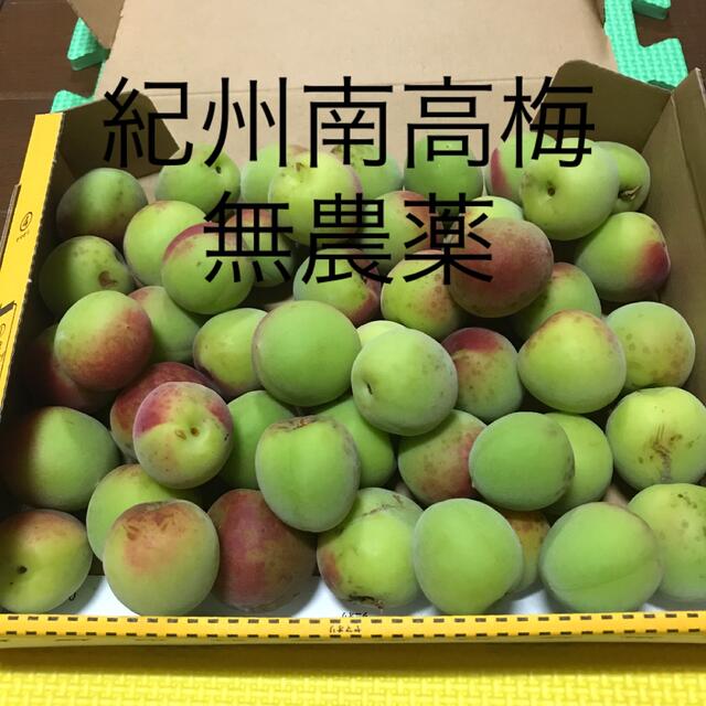 紀州無農薬南高梅 1.2キロ Du7YlFliFv, 食品 紀州無農薬南高梅 1.2キロ
