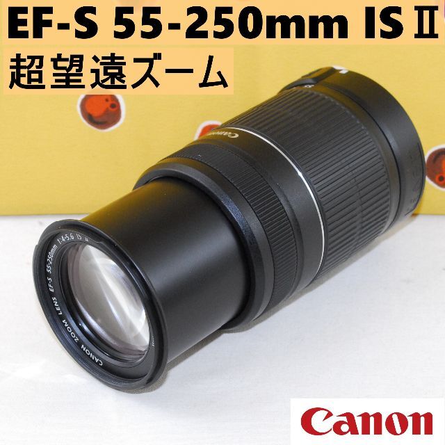 プロテクタ付★超望遠ズーム★CANON EF-S 55-250mm IS 2型