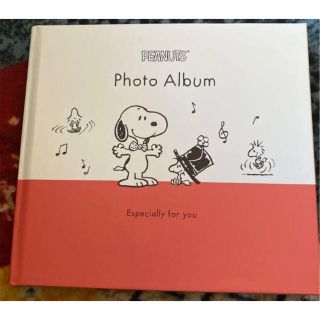 スヌーピー(SNOOPY)のSNOOPY立体アルバム(アルバム)