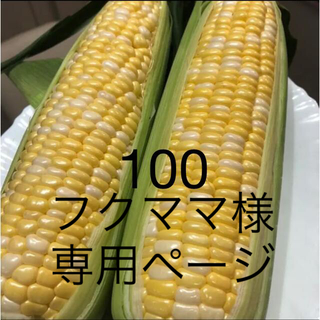 100フクママ様専用ページ(野菜)