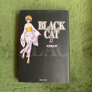 ＢＬＡＣＫ　ＣＡＴ １２(その他)