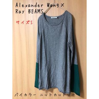 アレキサンダーワン(Alexander Wang)のAlexander Wang×Ray BEAMS/バイカラー ニットカットソー(ニット/セーター)