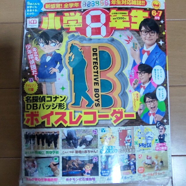 小学８年生 エンタメ/ホビーの雑誌(絵本/児童書)の商品写真