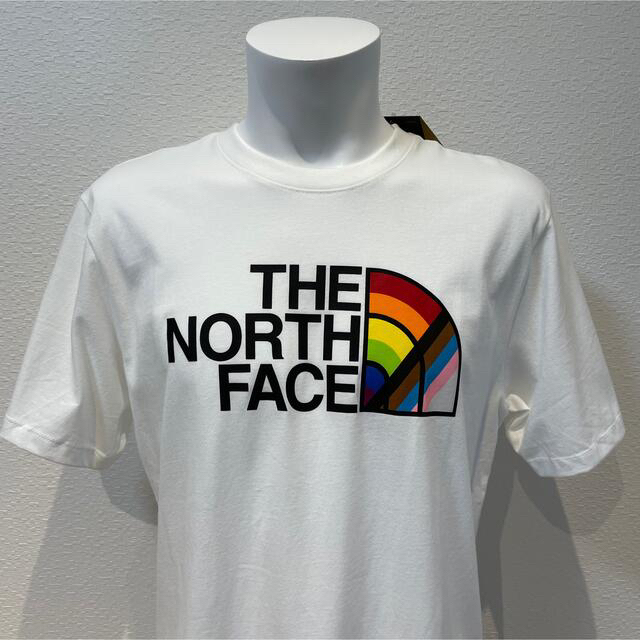 THE NORTH FACE(ザノースフェイス)のS新品THE NORTH FACEザノースフェイスプリントTシャツ半袖日本未発売 メンズのトップス(Tシャツ/カットソー(半袖/袖なし))の商品写真