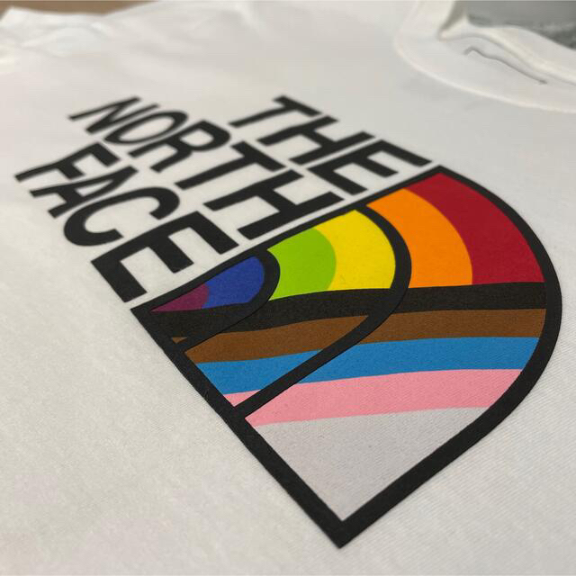 THE NORTH FACE(ザノースフェイス)のS新品THE NORTH FACEザノースフェイスプリントTシャツ半袖日本未発売 メンズのトップス(Tシャツ/カットソー(半袖/袖なし))の商品写真