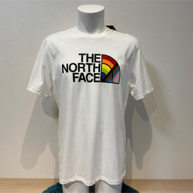 THE NORTH FACE(ザノースフェイス)のS新品THE NORTH FACEザノースフェイスプリントTシャツ半袖日本未発売 メンズのトップス(Tシャツ/カットソー(半袖/袖なし))の商品写真