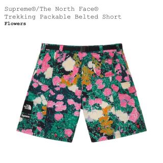 シュプリーム(Supreme)のSupreme®/The North Face® Trekking Short(ショートパンツ)