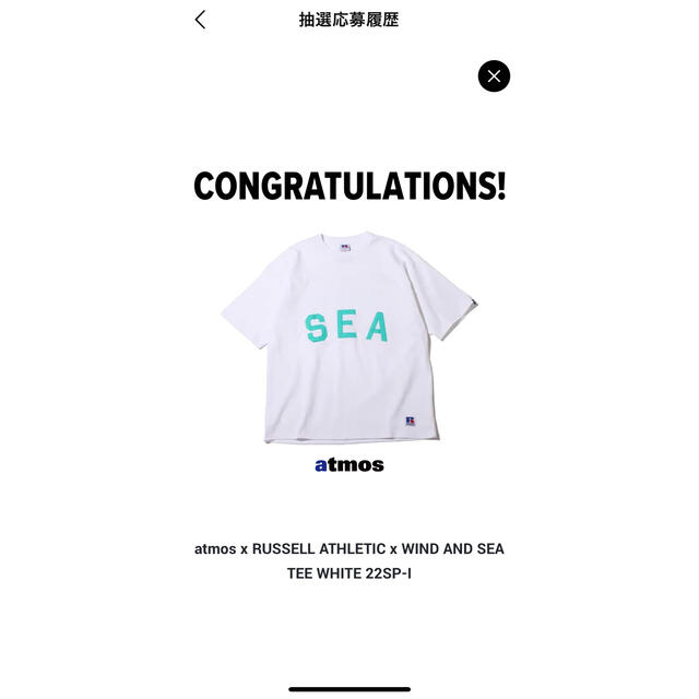 WIND AND SEAxRUSSELL ATHLETICxatmos Tシャツ - Tシャツ/カットソー ...