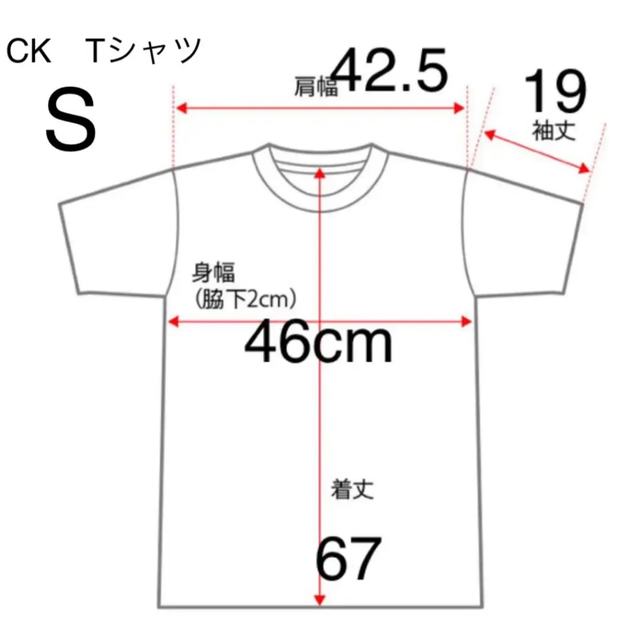 Calvin Klein(カルバンクライン)の洗練されたデザイン　カルバンクライン　ポケットTシャツ　ホワイト　S　新モデル メンズのトップス(Tシャツ/カットソー(半袖/袖なし))の商品写真