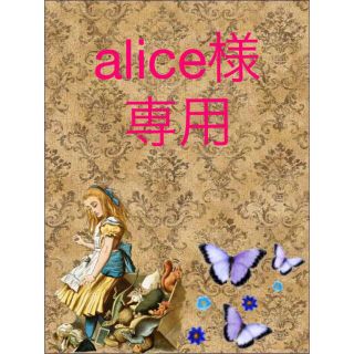 alice様専用(その他)