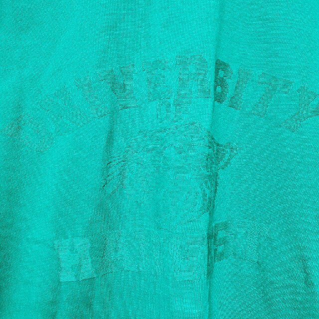 LEPSIM(レプシィム)の緑のTシャツ レディースのトップス(Tシャツ(半袖/袖なし))の商品写真
