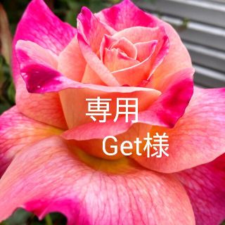 Get様　専用　オルゴナイト　6点おまとめ(その他)