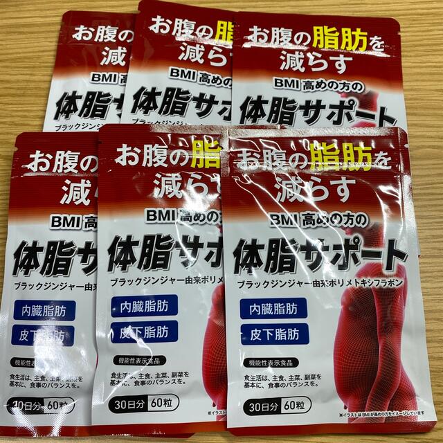 内容量15g30日分×6袋【6ヶ月分】お腹の脂肪を減らす　BMI高めの方の体脂サポート