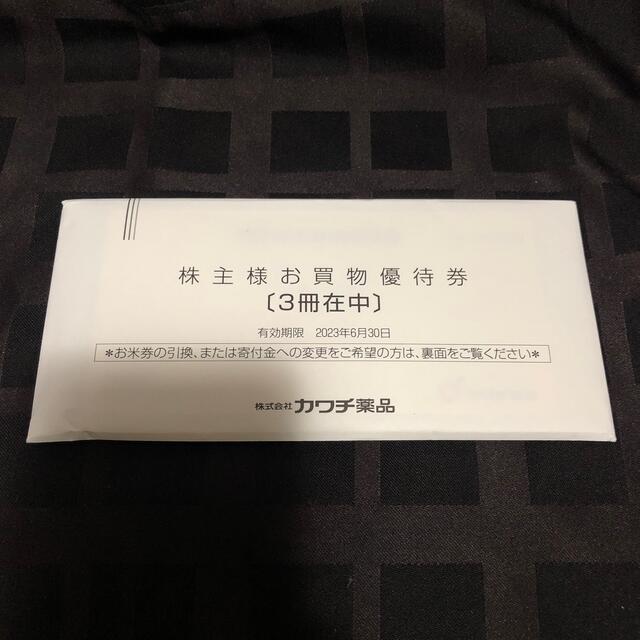 ☆最新☆ カワチ薬品 株主優待券 15000円分-