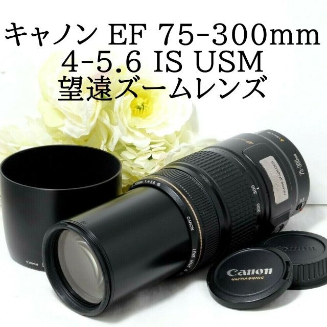 ★Canon キャノン EF 75-300mm 4-5.6 IS USM