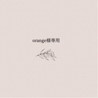 orange様専用(おもちゃ/雑貨)