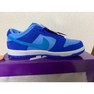 ナイキ(NIKE)のNIKE SB Dunk Low Blue Raspberry(スニーカー)