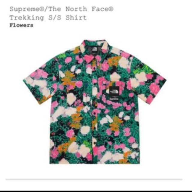 Supreme  The North Face Trekking  Shirt