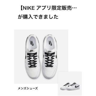 ナイキ(NIKE)のNIKE ダンクロー　リバースパンダ27㎝(スニーカー)