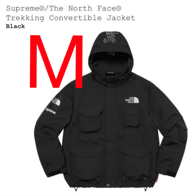 Supreme The North Face Jacket