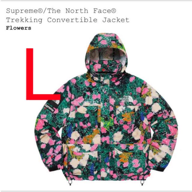 Supreme The North Face Jacket