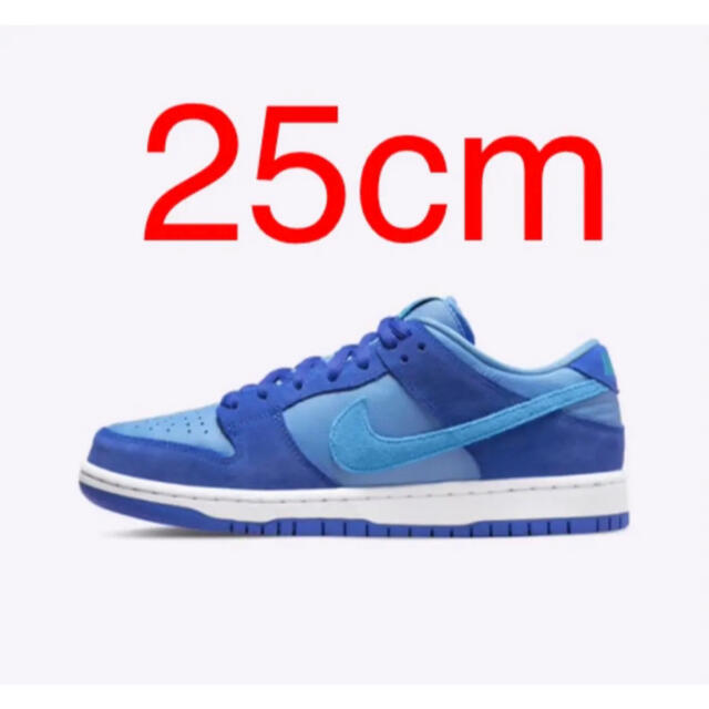 Nike SB Dunk Low Blue Raspberry 25cm