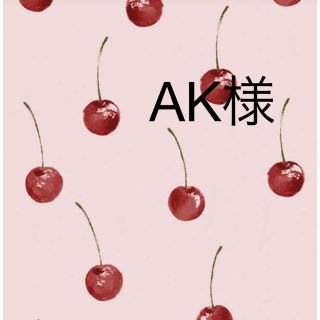 AK様(各種パーツ)