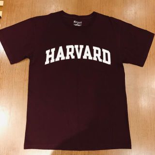 チャンピオン(Champion)のChampion - ハーバード大学Tシャツ(Tシャツ/カットソー(半袖/袖なし))