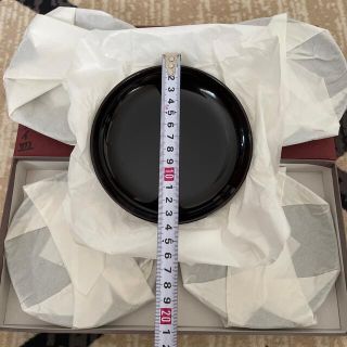 越前塗　銘々皿5枚セット(食器)