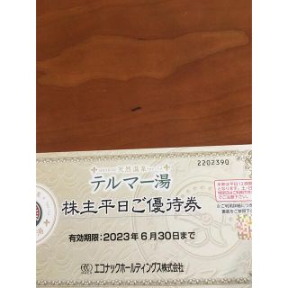 テルマー湯　平日優待券　株主優待　エコナック(その他)