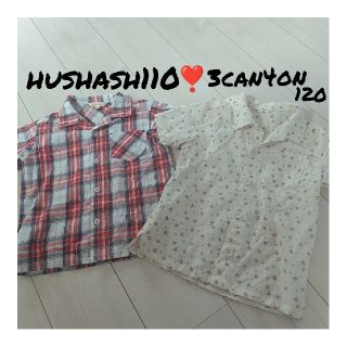 サンカンシオン(3can4on)のHushash110❣️3can4on120❣️２枚セット❣️特別価格❣️(Tシャツ/カットソー)