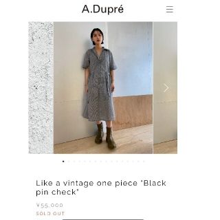 アーツアンドサイエンス(ARTS&SCIENCE)の【定価5.5万】a.dupre エイデュプレ ワンピース 完売 カディコットン(ロングワンピース/マキシワンピース)