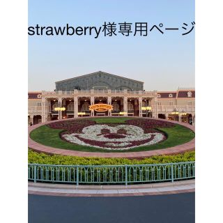 strawberry様専用ページ(シングルカード)