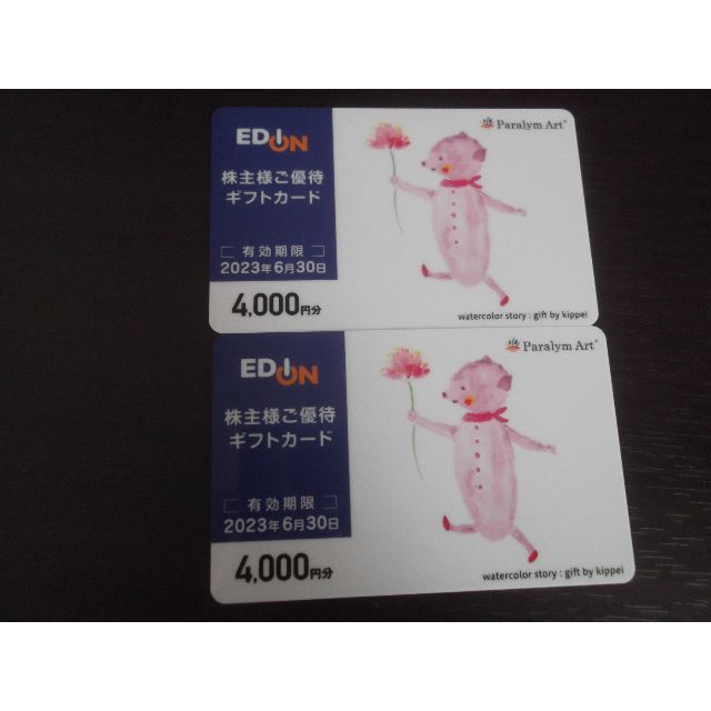 EDION エディオン　株主優待　8,000円優待券/割引券