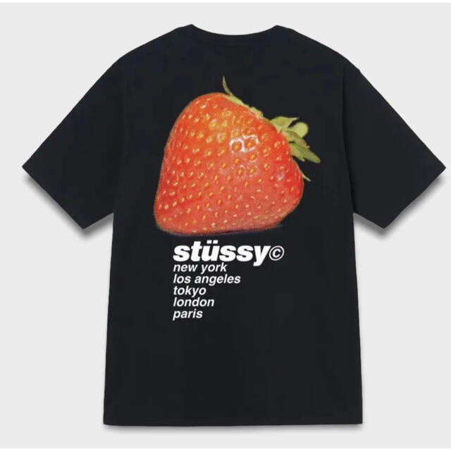 Stussy Strawberry Tee ステューシー Tシャツ ストロベリートップス