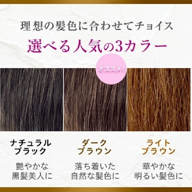 ヘアボーテ エクラ ボタニカル エアカラーフォーム ダークブラウン 150g コスメ/美容のヘアケア/スタイリング(白髪染め)の商品写真