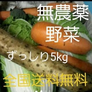 無農薬野菜　詰め合わせ(野菜)