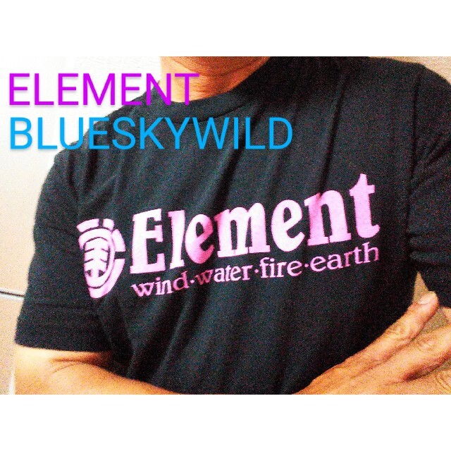 ELEMENT(エレメント)のELEMENTエレメント スケーターサーファースタイルデカロゴピンクTシャツ メンズのトップス(Tシャツ/カットソー(半袖/袖なし))の商品写真